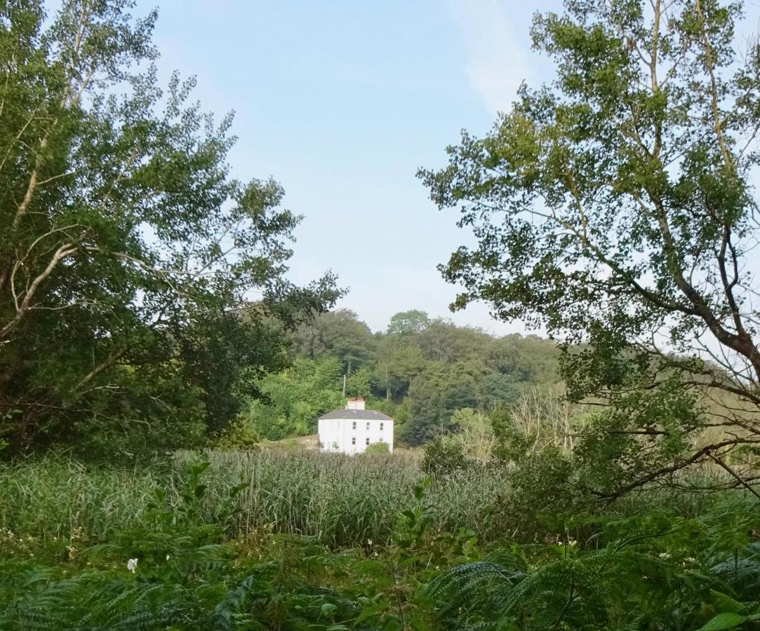 Riverbank House Bed And Breakfast Innishannon Exterior foto